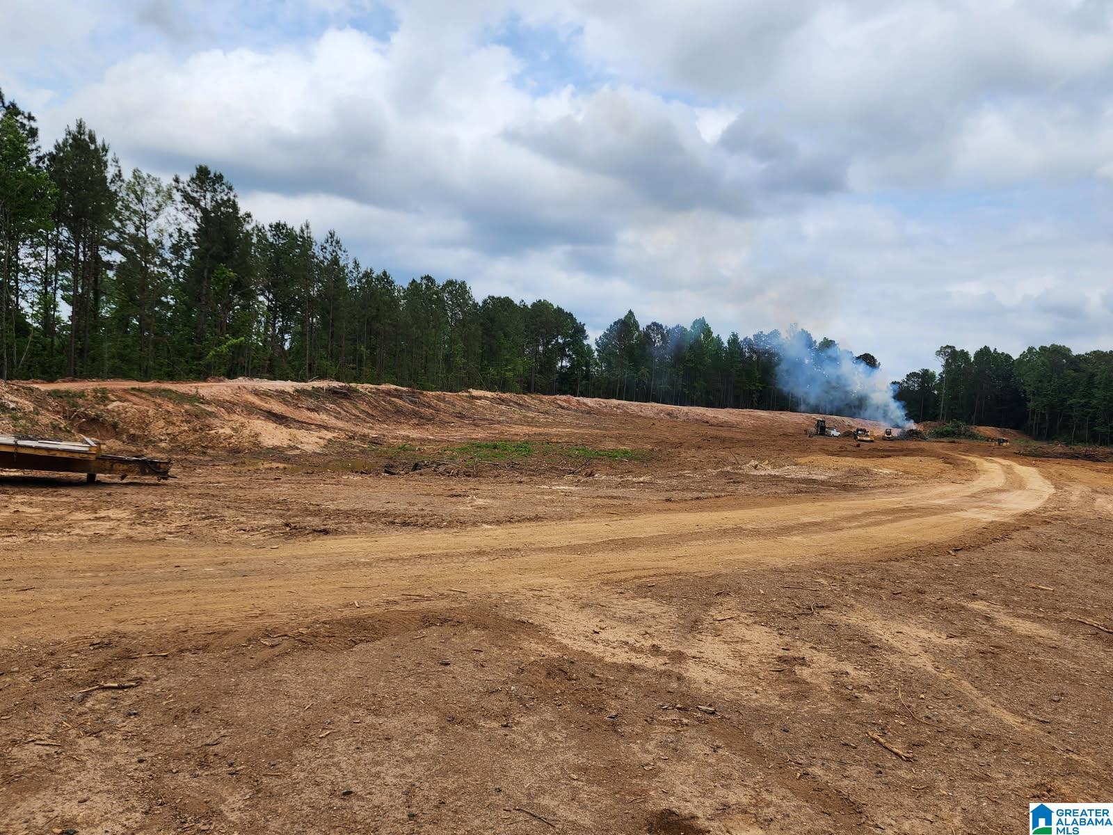 935 Shelby Lakes Ranch Way, Unit 28 Shelby, AL 35143 - Photo 11 of 37