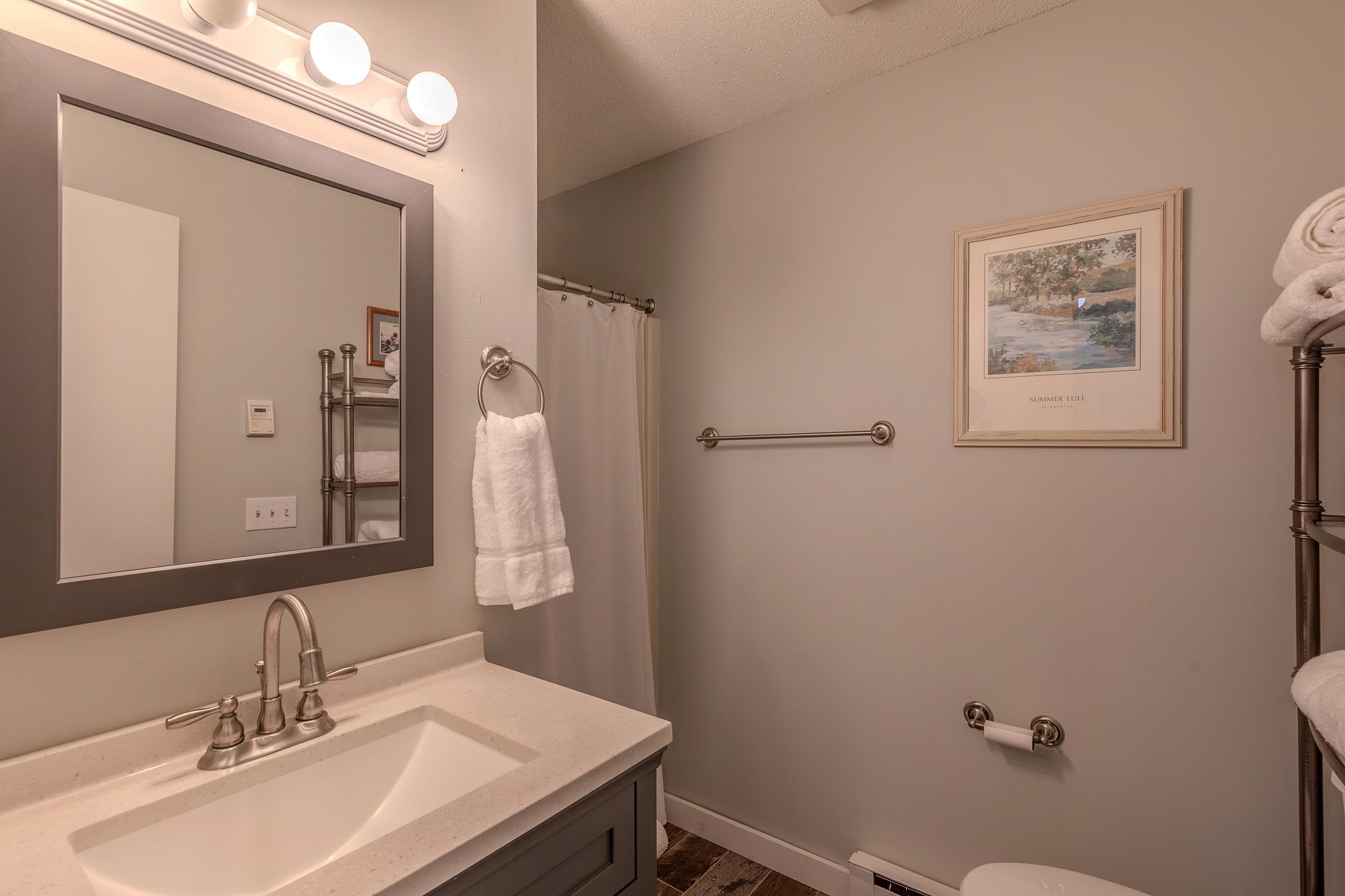 231 B Vermont Rte 100, Unit 23B West Dover, VT 05356 - Photo 20 of 33