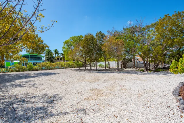 a view of a backyard with large trees