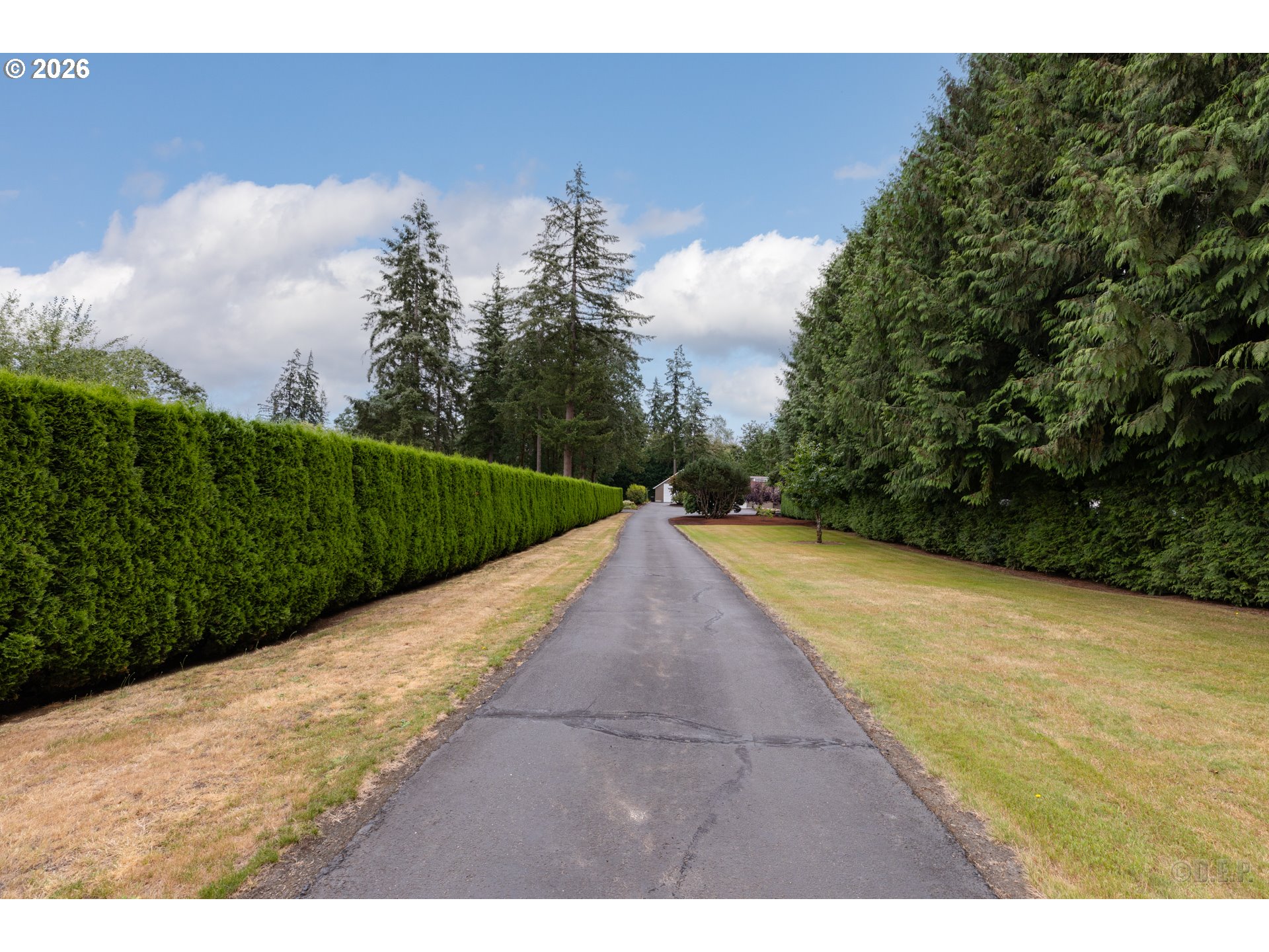 57636 South Morse Road Warren, OR 97053 - Photo 32 of 36 Driveway