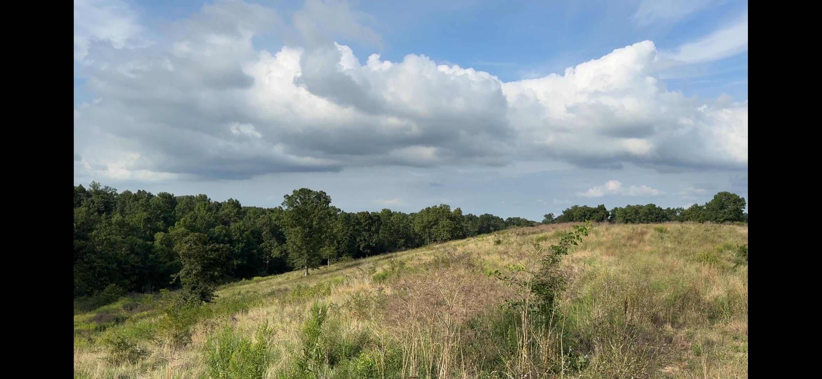 0 New Columbus Road Corinth, KY 41010 - Photo 19 of 23