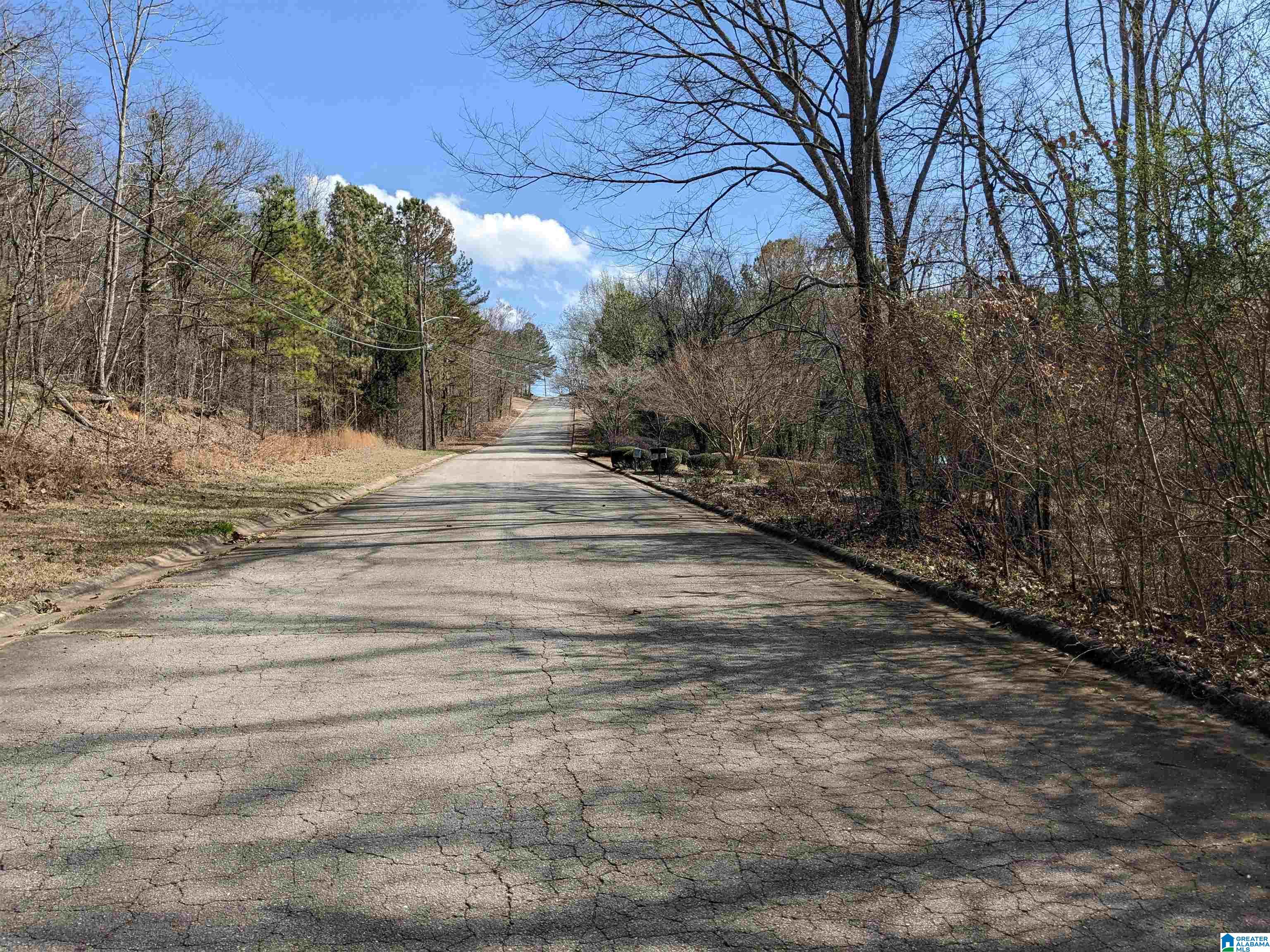 0 Hathaway Heights Road, Unit 2 & 3 Anniston, AL 36207 - Photo 30 of 30