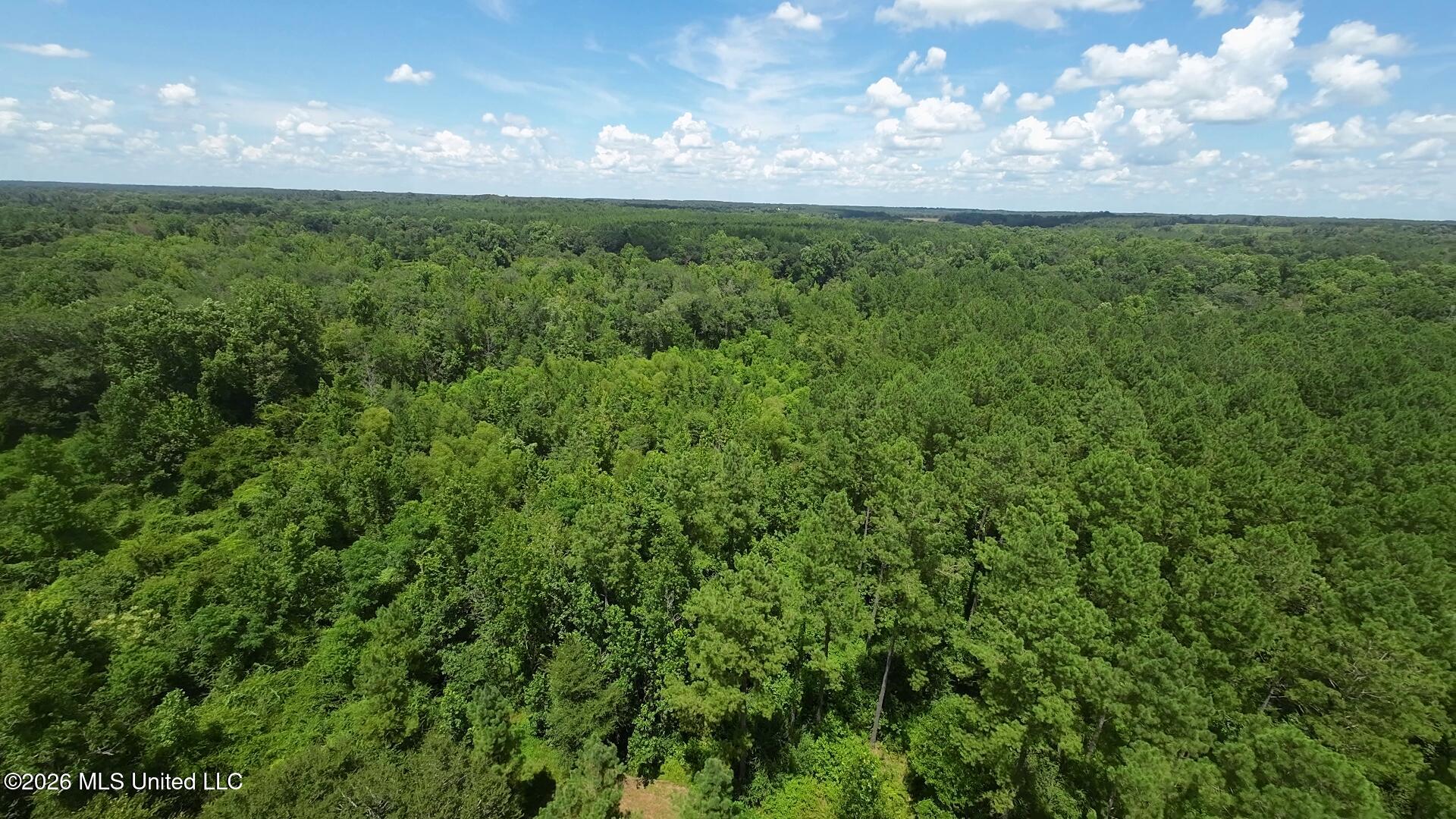 1026 Mt Olive Road Mount Olive, MS 39119 - Photo 62 of 63 vlcsnap-2026-07-14-10h24m51s624