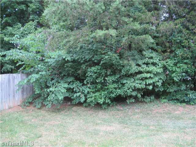 4101 Chilton Way High Point, NC 27265 - Photo 11 of 11 Yard/Garden.