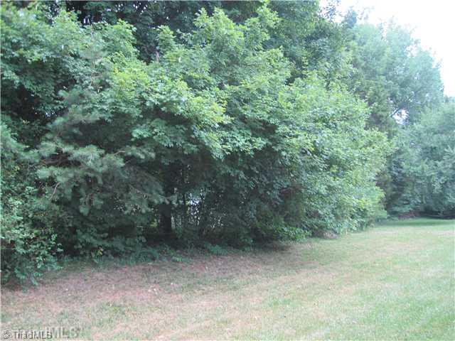 4101 Chilton Way High Point, NC 27265 - Photo 10 of 11 Yard/Garden.