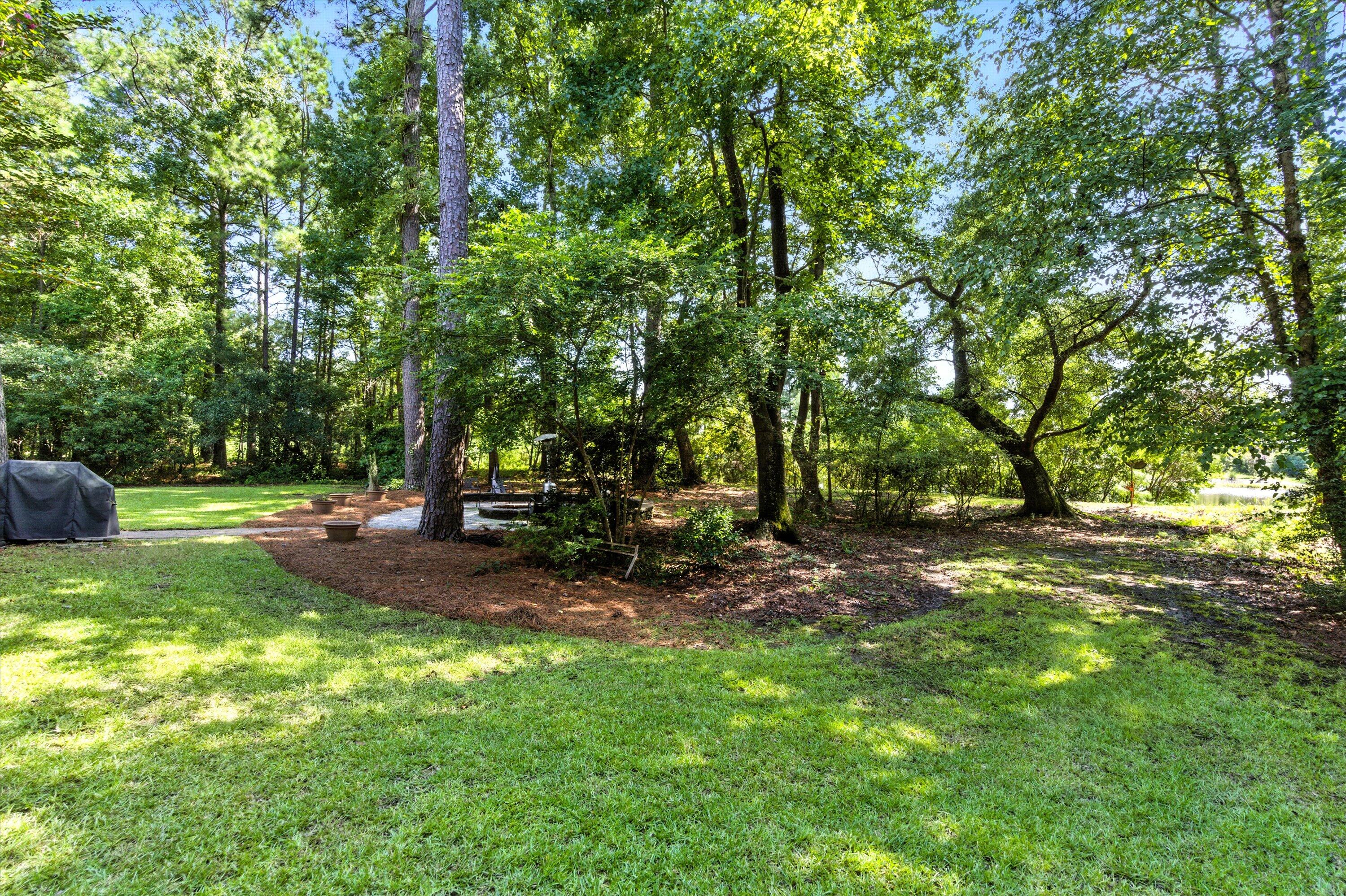 4101 Ten Shillings Way Ravenel, SC 29470 - Photo 48 of 68 Private Backyard