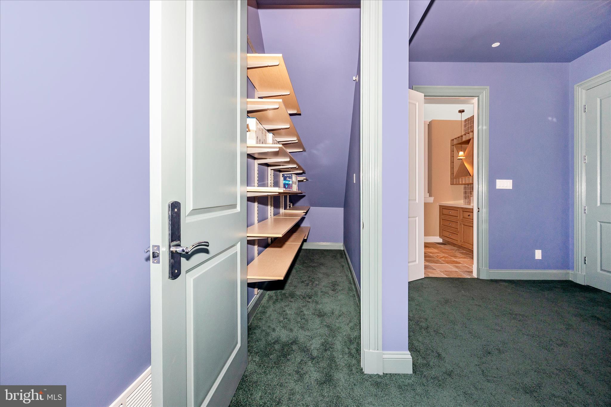 21612 Ripplemead Drive Gaithersburg, MD 20882 - Photo 82 of 129 Theater Storage Closet