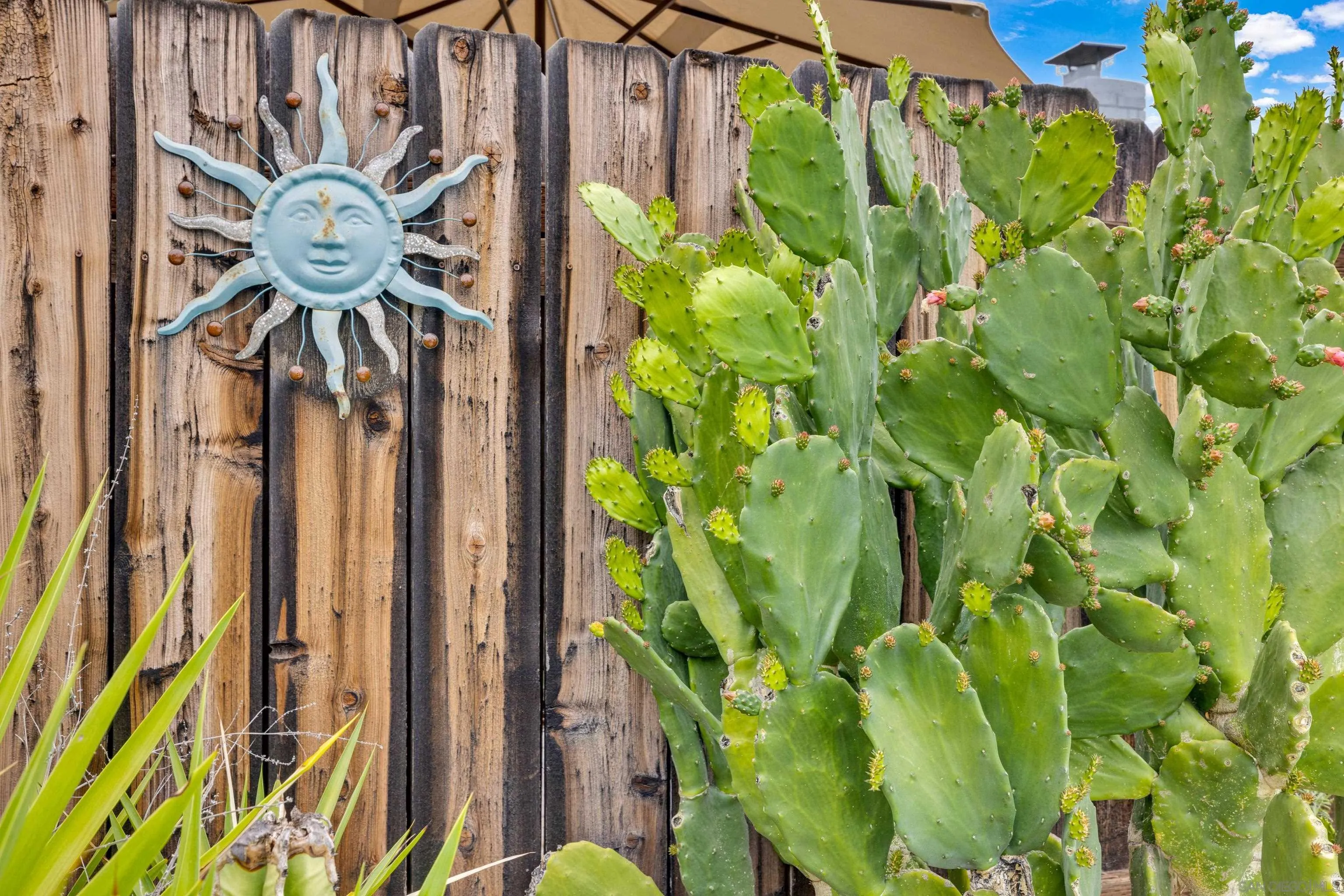 13834 Tobiasson Road Poway, CA 92064 - Photo 31 of 31 a view of a bunch of flowers