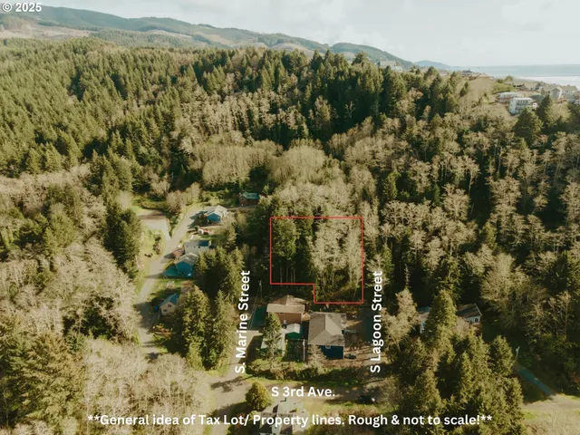 a view of a forest with a mountain