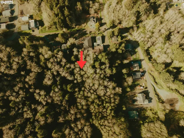 a small yard with a tree