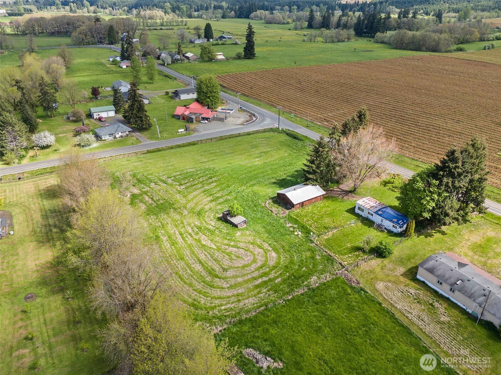 2469 Wildwood Road Curtis, WA 98538 - Photo 8 of 12 Gallery Image 8