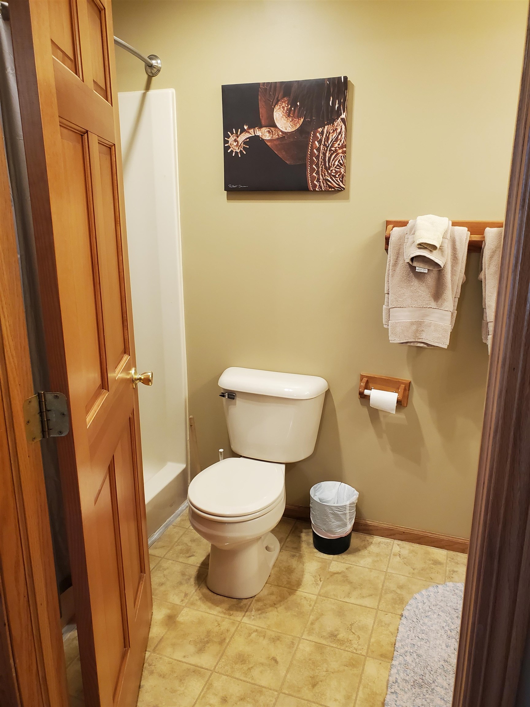 325 South Clark Street Utica, IL 61373 - Photo 14 of 28 a bathroom with a toilet and a shower curtain