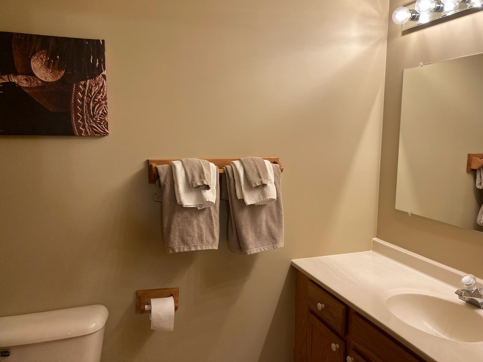325 South Clark Street Utica, IL 61373 - Photo 28 of 28 a bathroom with a sink and mirror with toilet