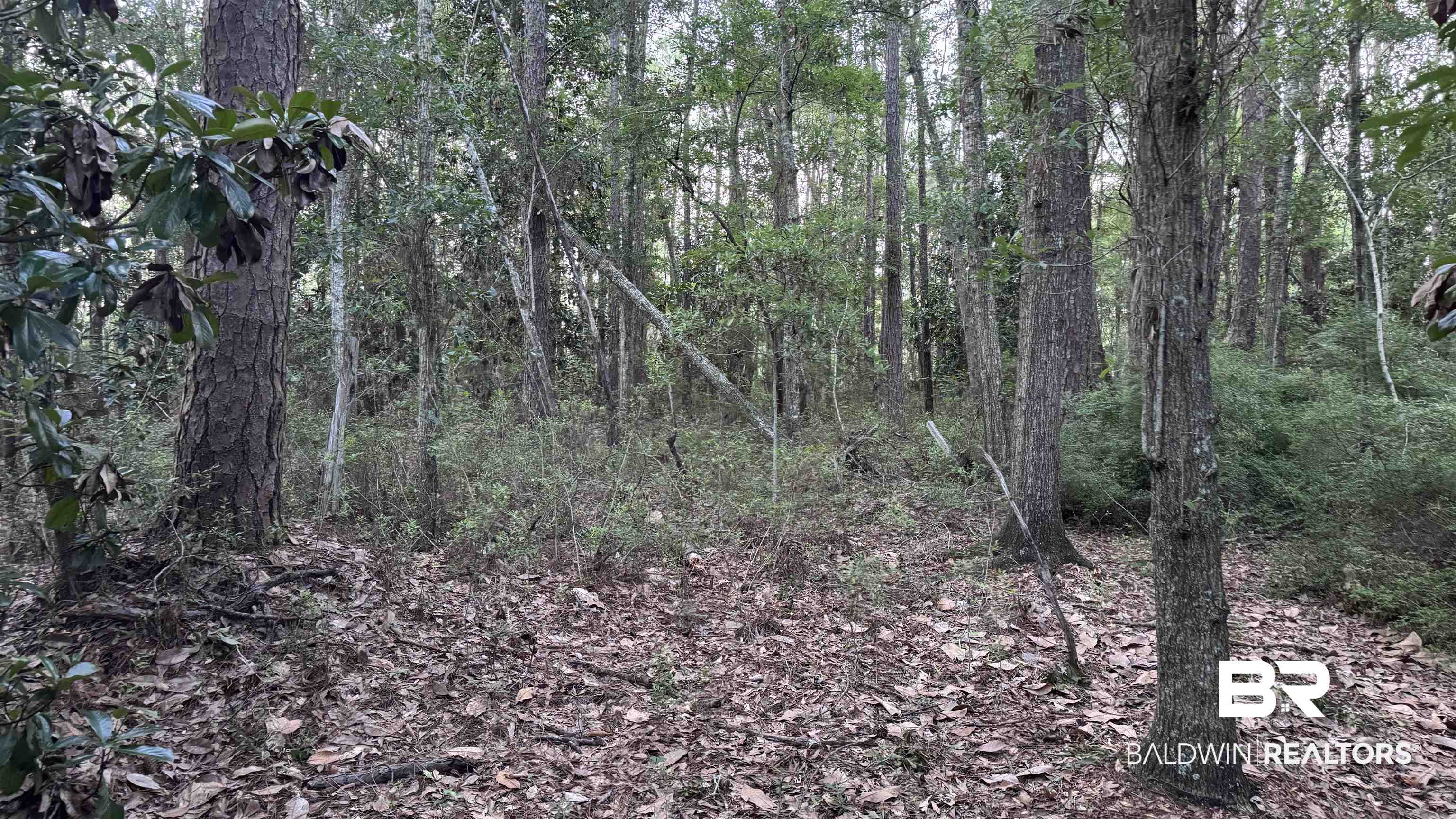 0 Highway 188 Coden, AL 36523 - Photo 33 of 37 Gallery Image 33