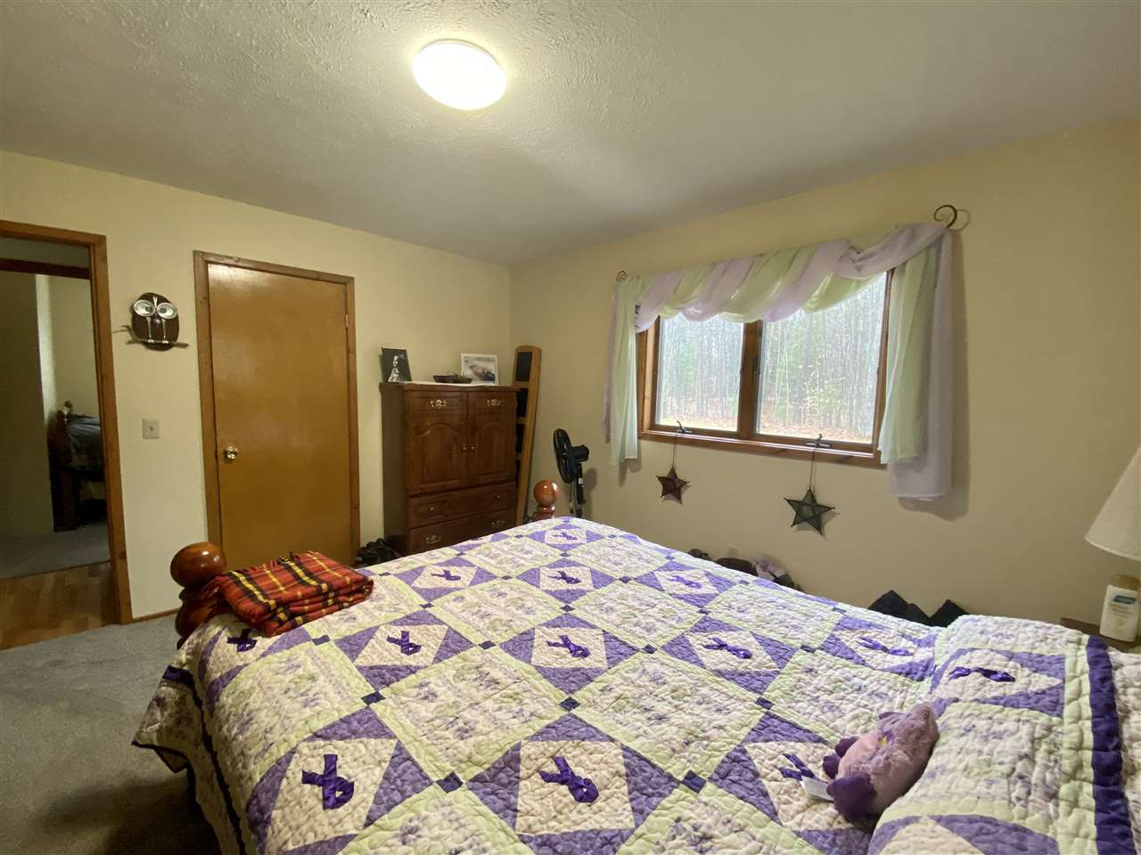 8340 Sparling Road Fife Lake, MI 49633 - Photo 19 of 60 1886214-18.JPG