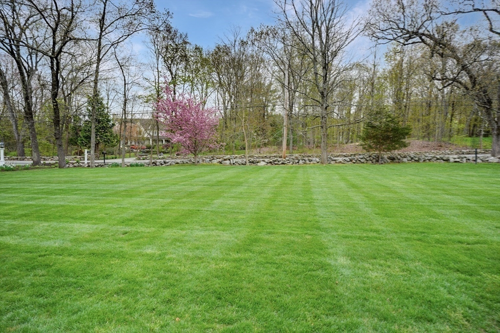 191 Claybrook Road Dover, MA 02030 - Photo 32 of 34 a garden view with large trees