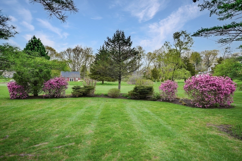 191 Claybrook Road Dover, MA 02030 - Photo 34 of 34 a small garden covered with tall trees