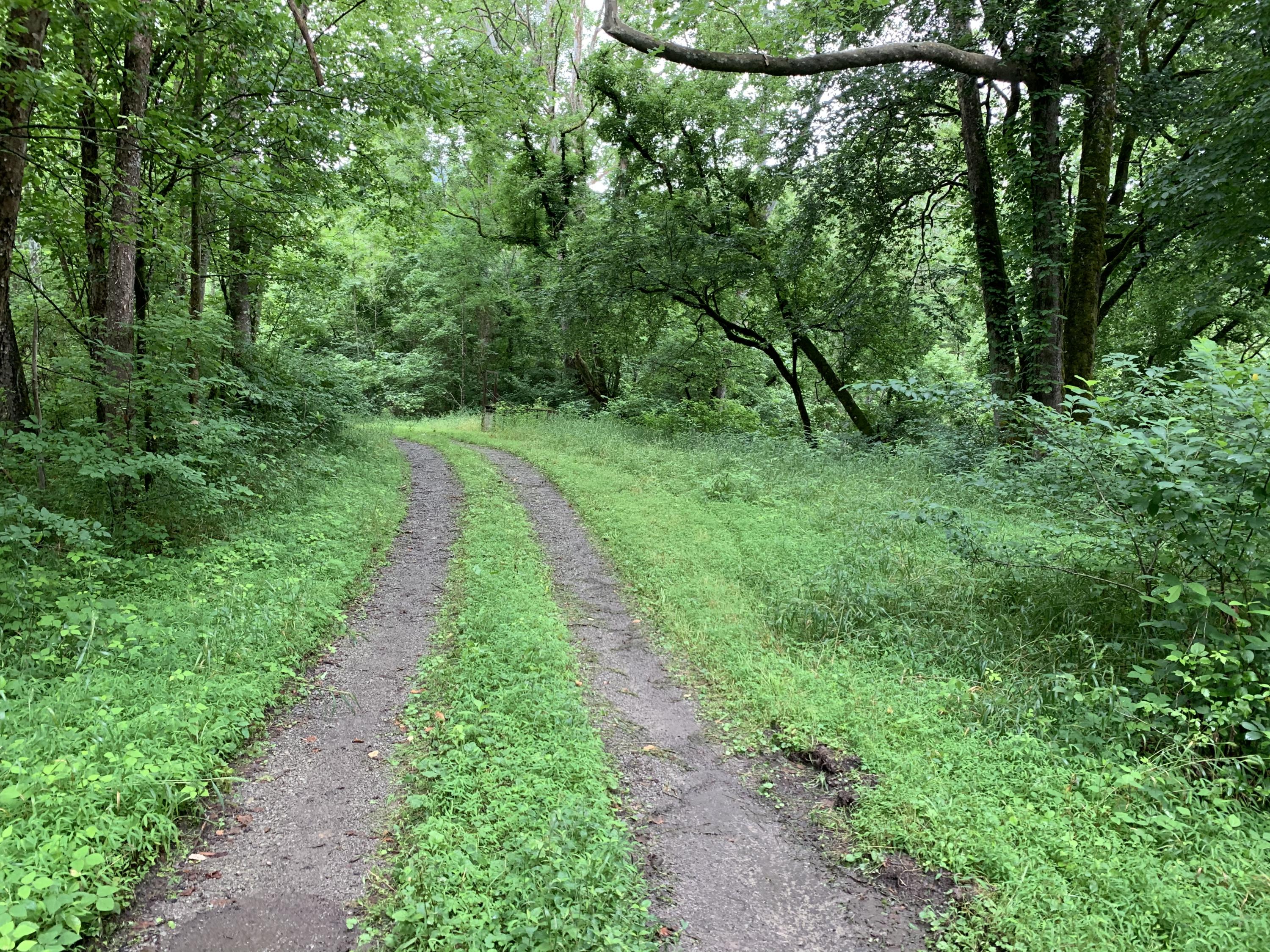 Tbd Powell River Road Tazewell, TN 37879 - Photo 14 of 18 7B8D32BD-1E26-433C-B0B3-B9C68B8B973C