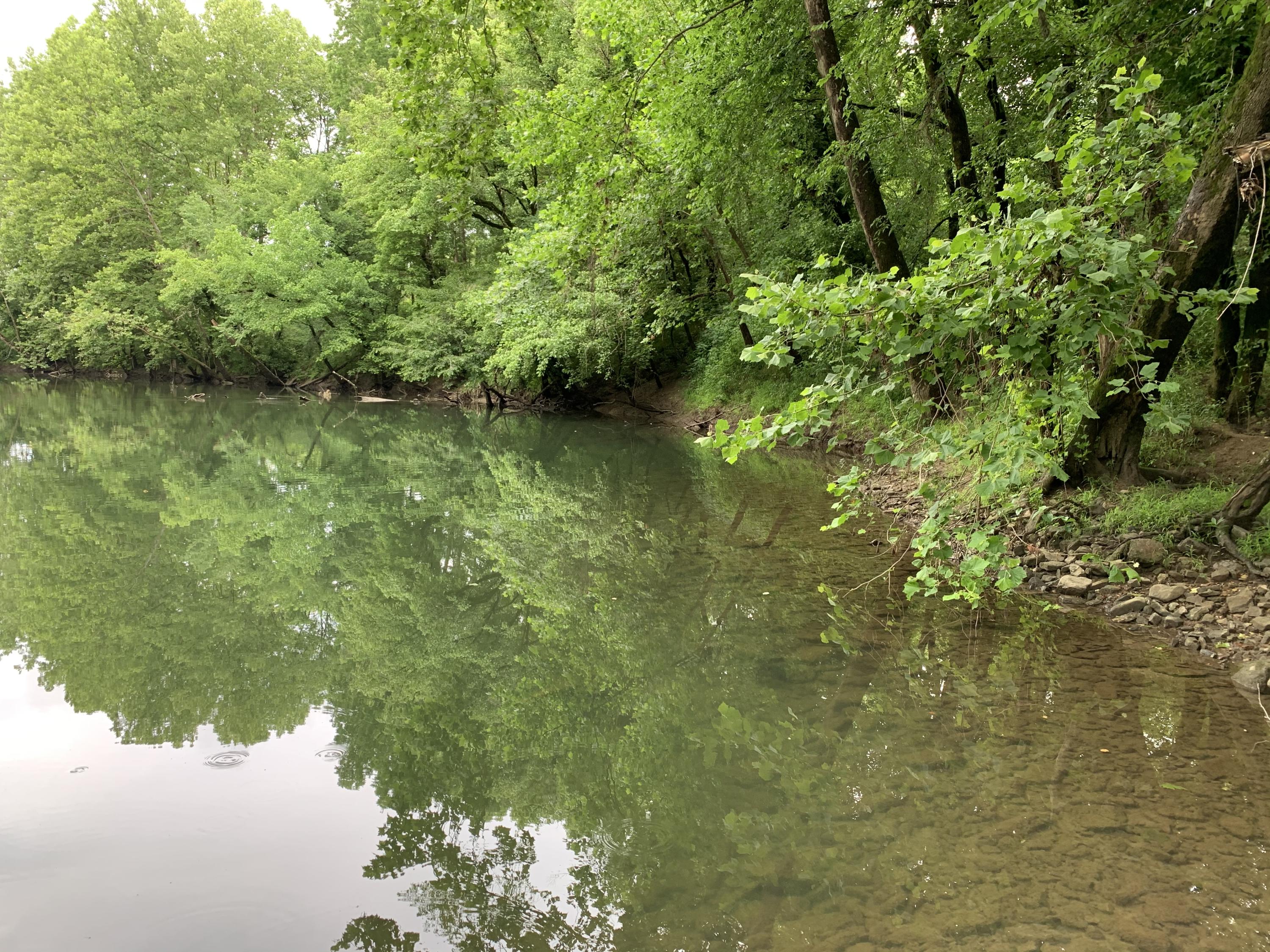 Tbd Powell River Road Tazewell, TN 37879 - Photo 8 of 18 A7FDBB76-AAD2-4612-865E-416EE5689405