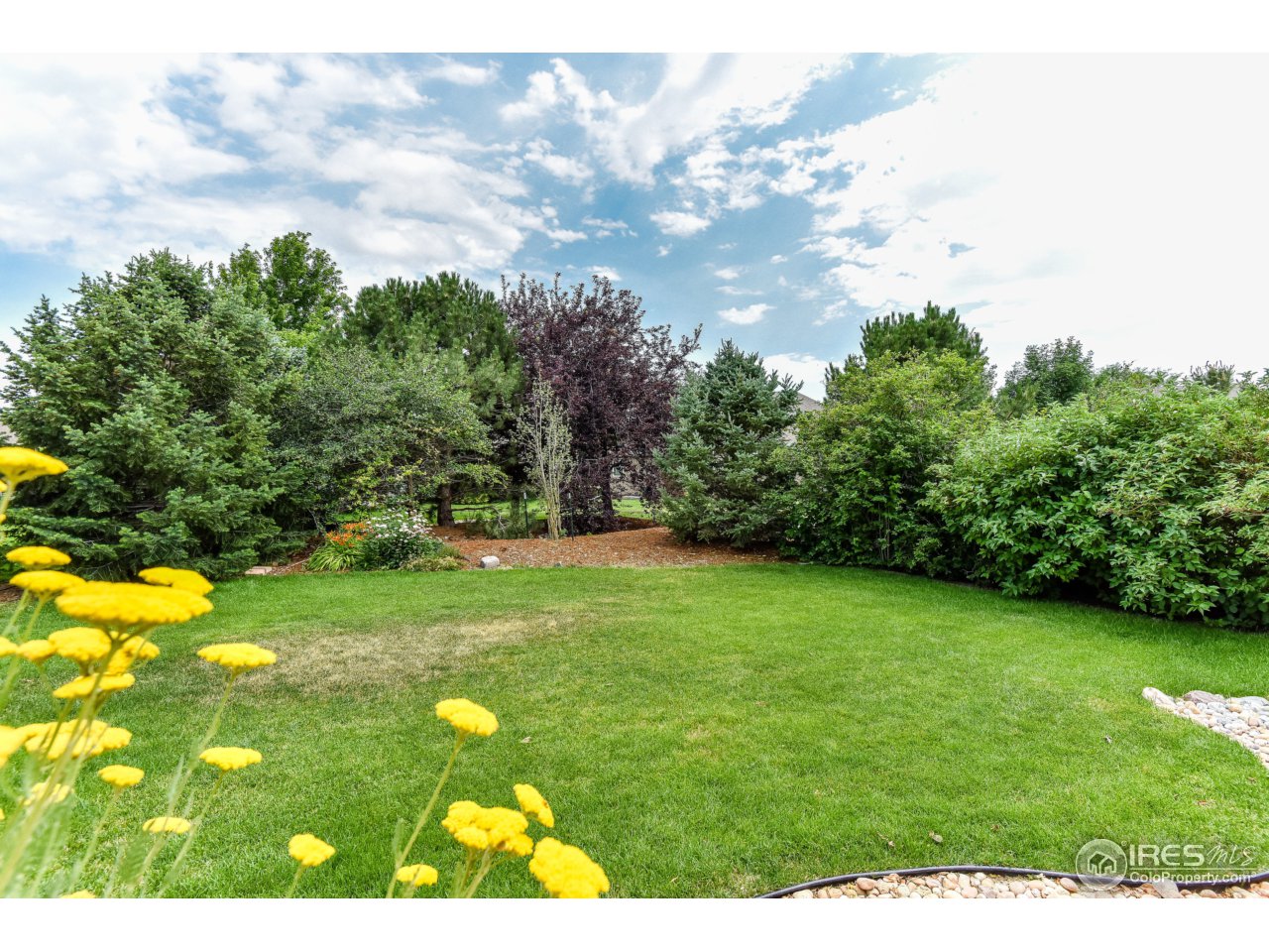 1455 Falcon Ridge Road Eaton, CO 80615 - Photo 13 of 15 Back Yard
