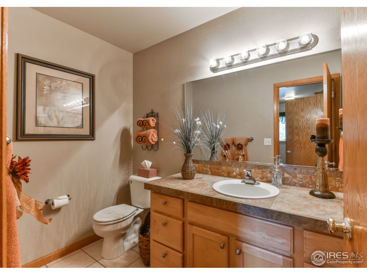 1455 Falcon Ridge Road Eaton, CO 80615 - Photo 6 of 15 Half Bath
