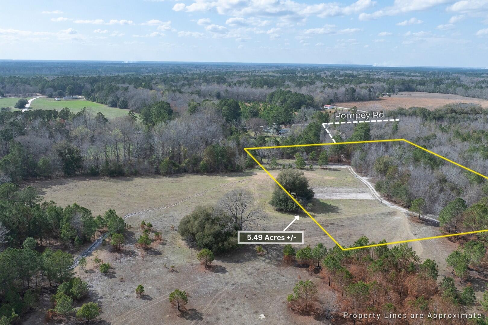 2 Pompey Road Manning, SC 29102 - Photo 10 of 40