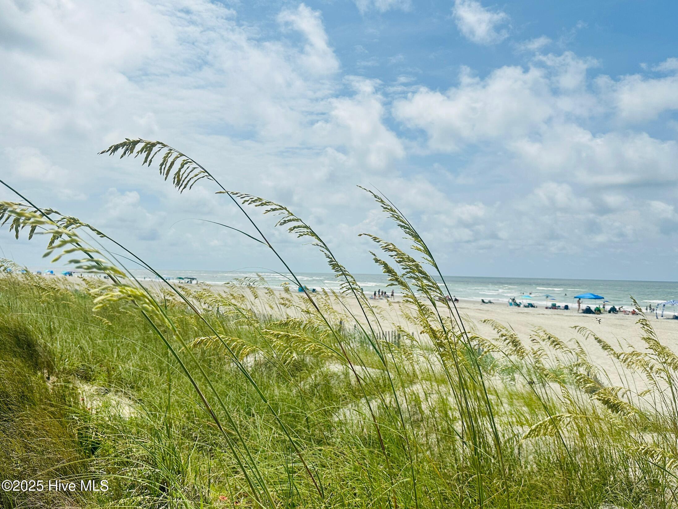 1301 Hewett Farms Road Southeast Shallotte, NC 28470 - Photo 10 of 18 Local Beach