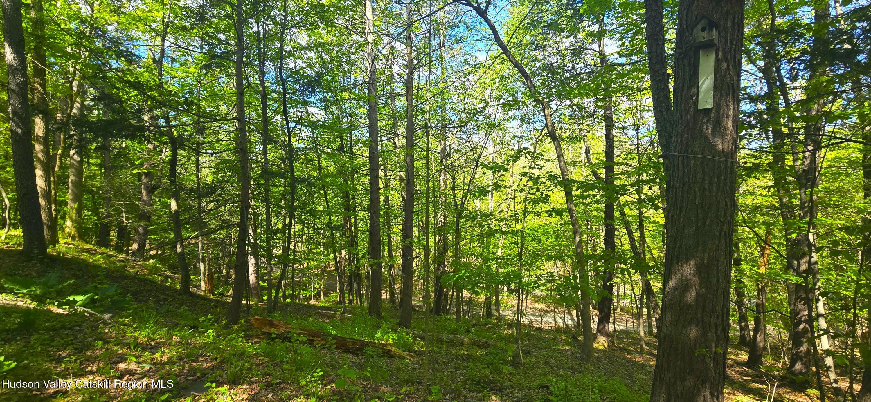 51 Enchanted Valley Road Cornwallville, NY 12418 - Photo 18 of 21 .