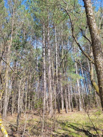 $24,900 | Tbd 695th Avenue, Roosevelt, MN 56673