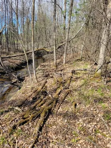 $24,900 | Tbd 695th Avenue, Roosevelt, MN 56673