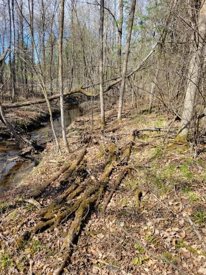 Tbd 695th Avenue Roosevelt, MN 56673 - Photo 3 of 20