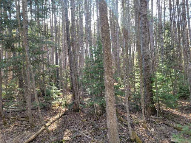 $24,900 | Tbd 695th Avenue, Roosevelt, MN 56673