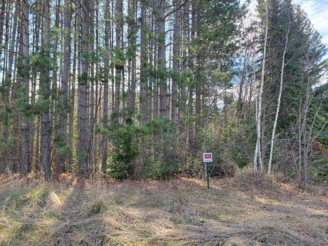 $24,900 | Tbd 695th Avenue, Roosevelt, MN 56673