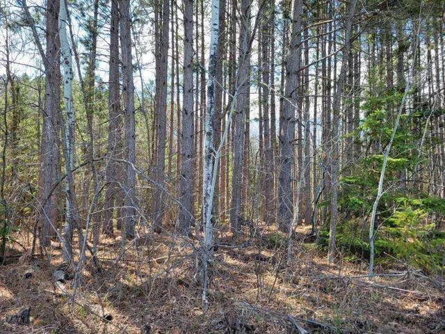$24,900 | Tbd 695th Avenue, Roosevelt, MN 56673