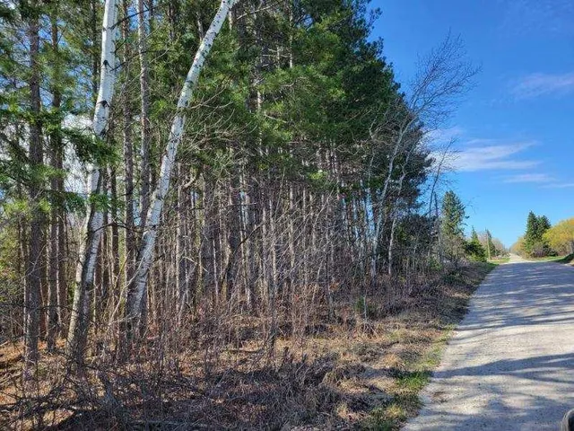 $24,900 | Tbd 695th Avenue, Roosevelt, MN 56673