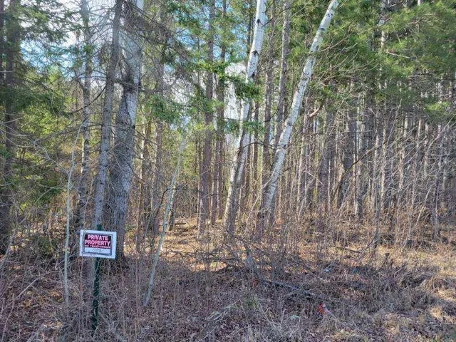 $24,900 | Tbd 695th Avenue, Roosevelt, MN 56673