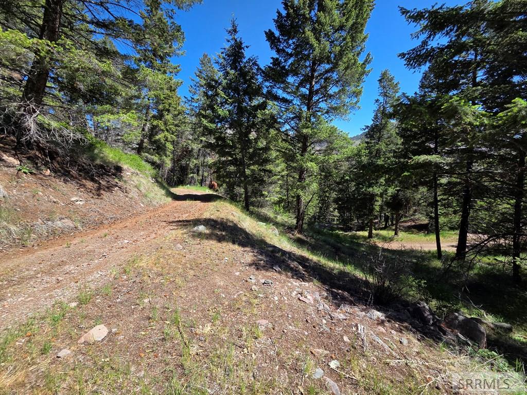21 Pinetree Drive Salmon, ID 83467 - Photo 55 of 71