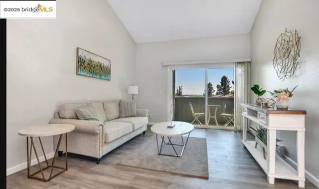 a living room with furniture a rug and a potted plant