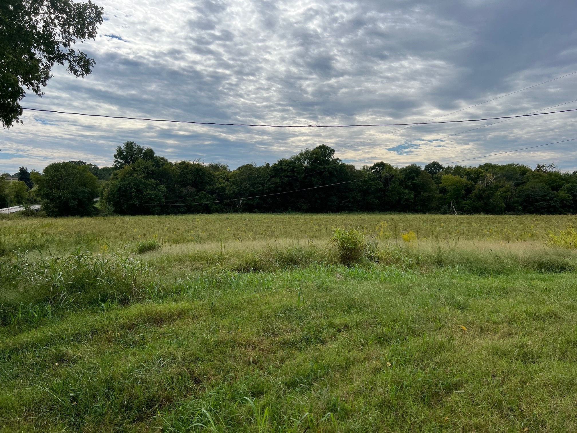 0 Red River School Road Portland, TN 37148 - Photo 8 of 15 Gallery Image 8