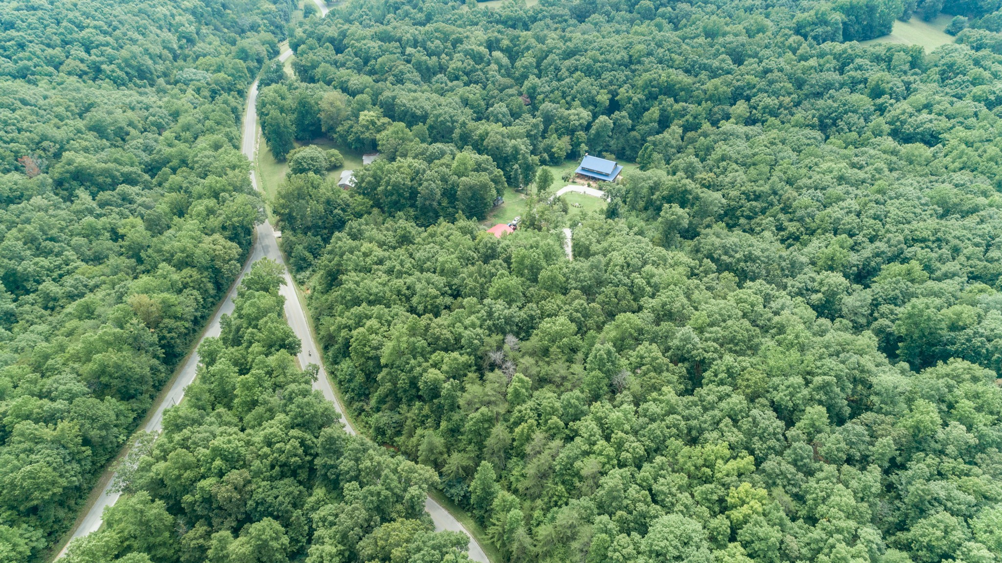 609 Waterloo Road Westpoint, TN 38486 - Photo 69 of 70 a view of a lush green forest