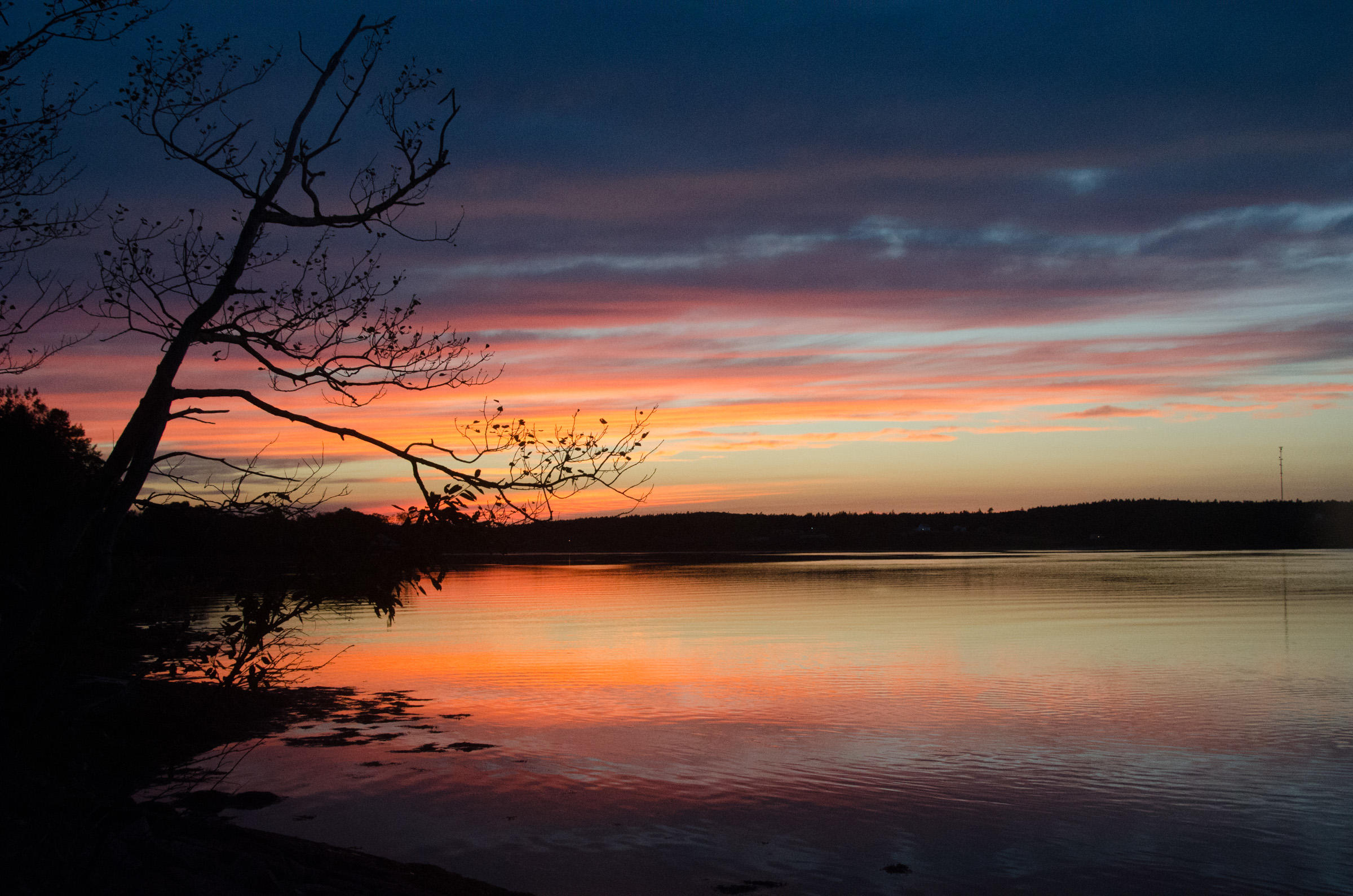 150 Clarks Point Road Machiasport, ME 04655 - Photo 3 of 41 DSC_8911