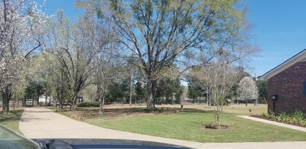 4067 Judge Logue Road Newton, AL 36352 - Photo 10 of 64