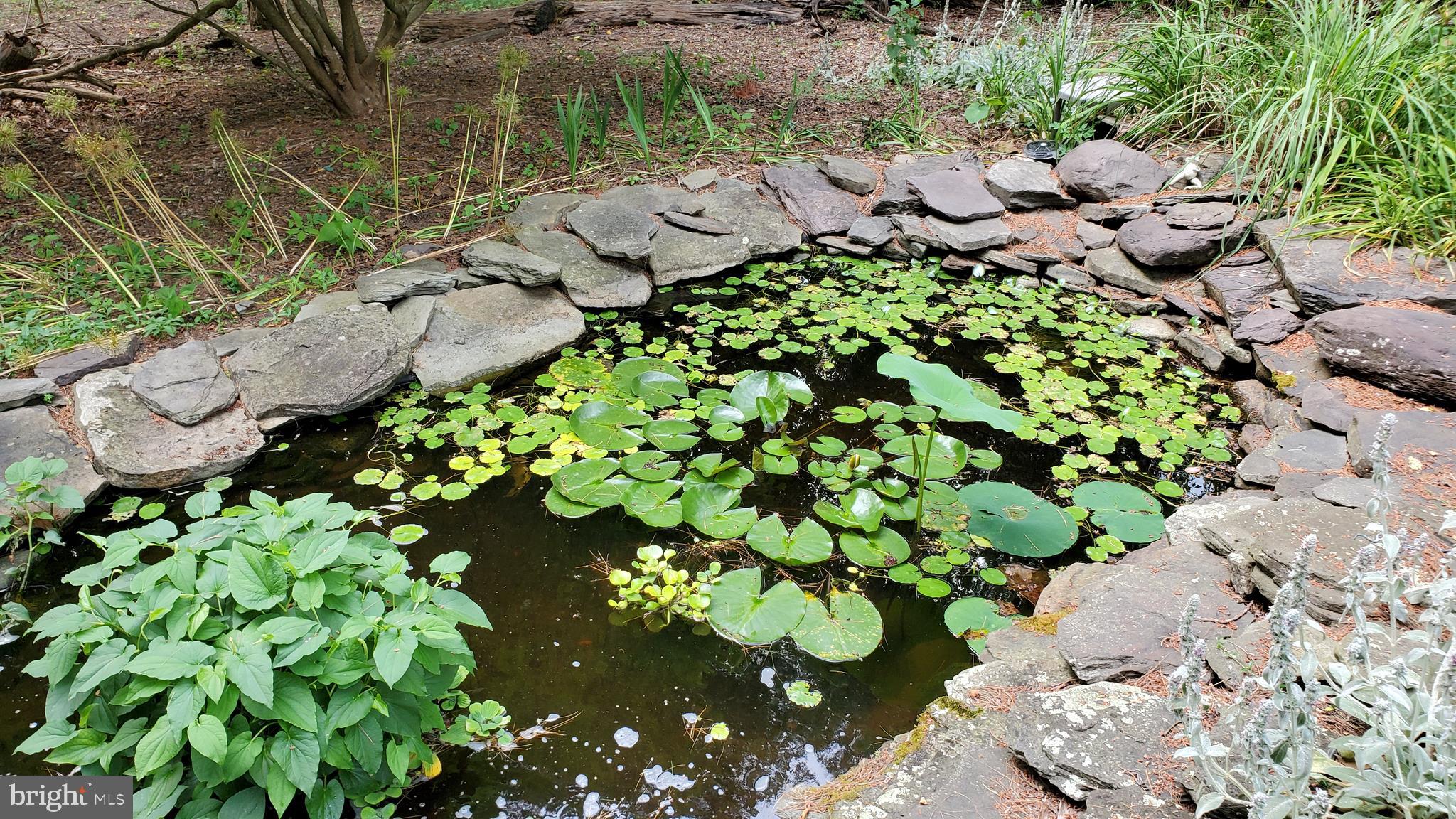7529 Mapleville Road Boonsboro, MD 21713 - Photo 20 of 22 Quoi Pond