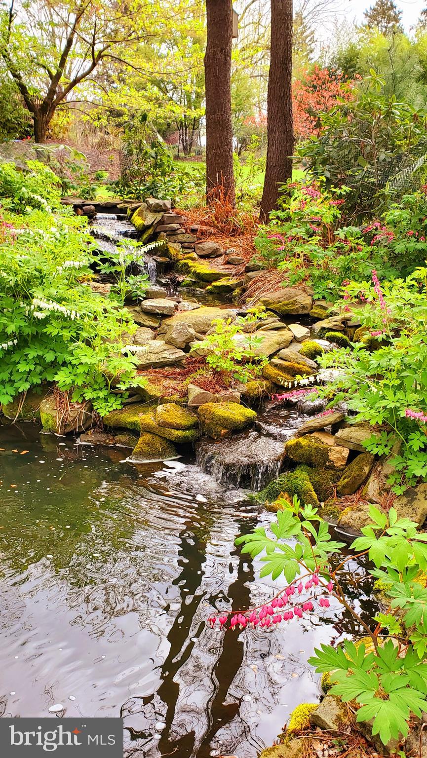 7529 Mapleville Road Boonsboro, MD 21713 - Photo 22 of 22 beautiful waterfall