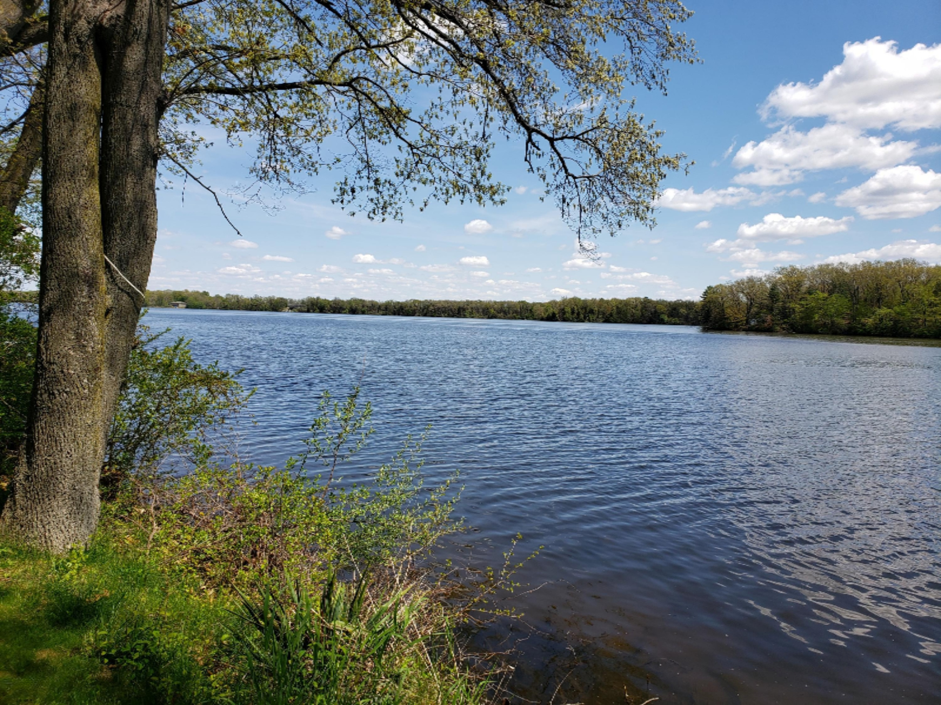 18847 Riverview Drive Three Rivers, MI 49093 - Photo 3 of 18 20190514_143908