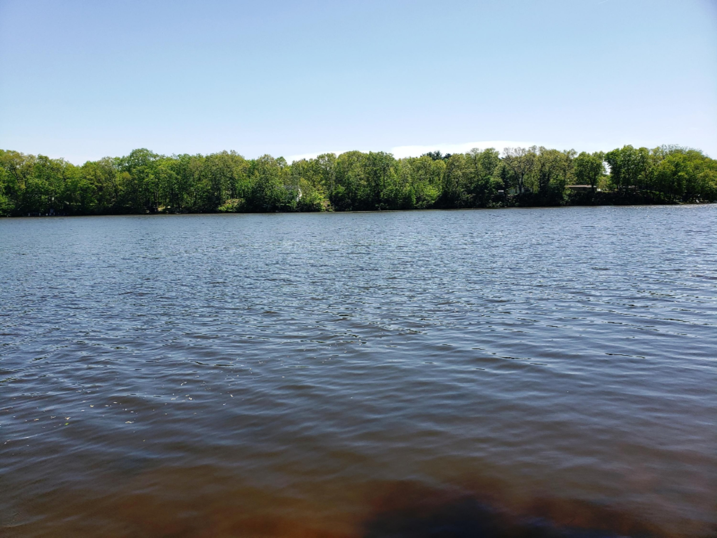 18847 Riverview Drive Three Rivers, MI 49093 - Photo 4 of 18 20190523_145629