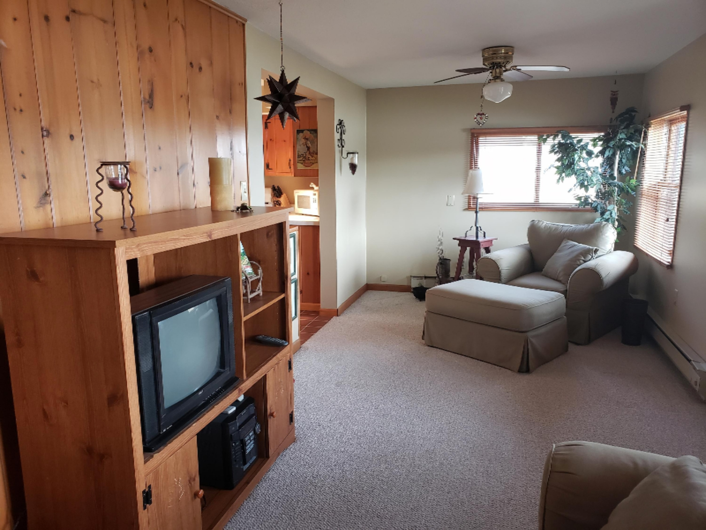 18847 Riverview Drive Three Rivers, MI 49093 - Photo 7 of 18 20190413_153612