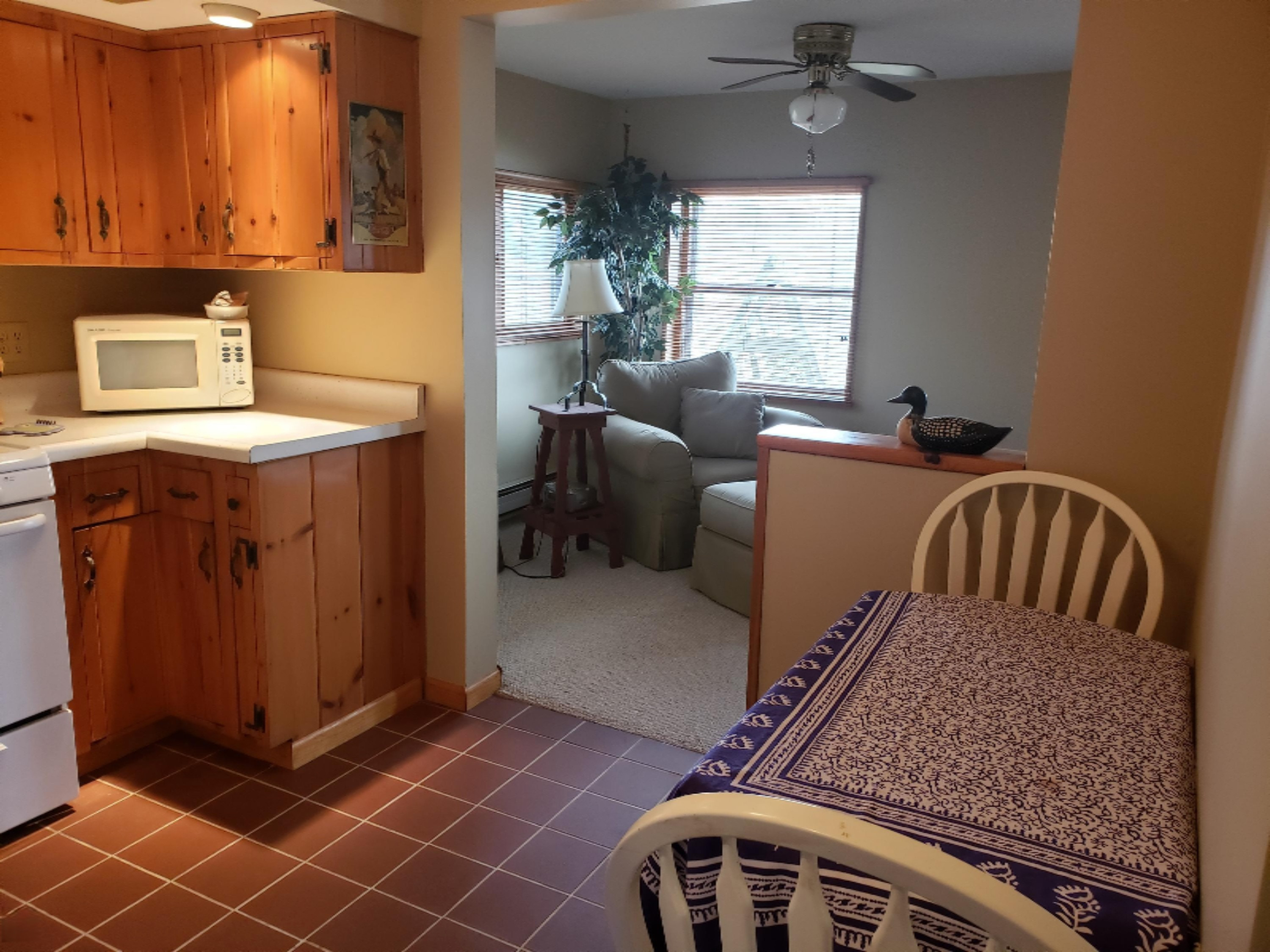 18847 Riverview Drive Three Rivers, MI 49093 - Photo 10 of 18 20190413_153554