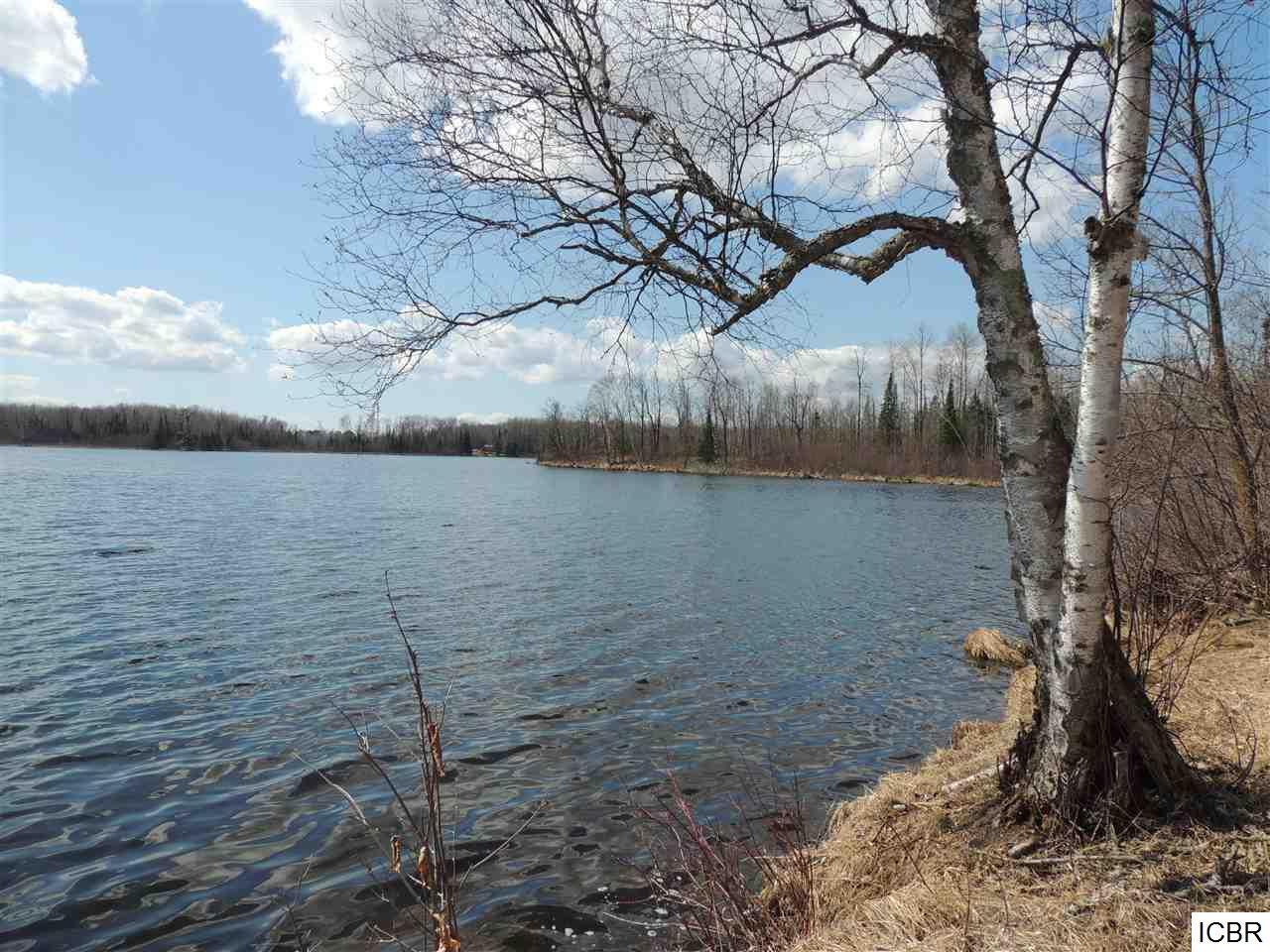 52998 Etters Road Talmoon, MN 56637 - Photo 1 of 1