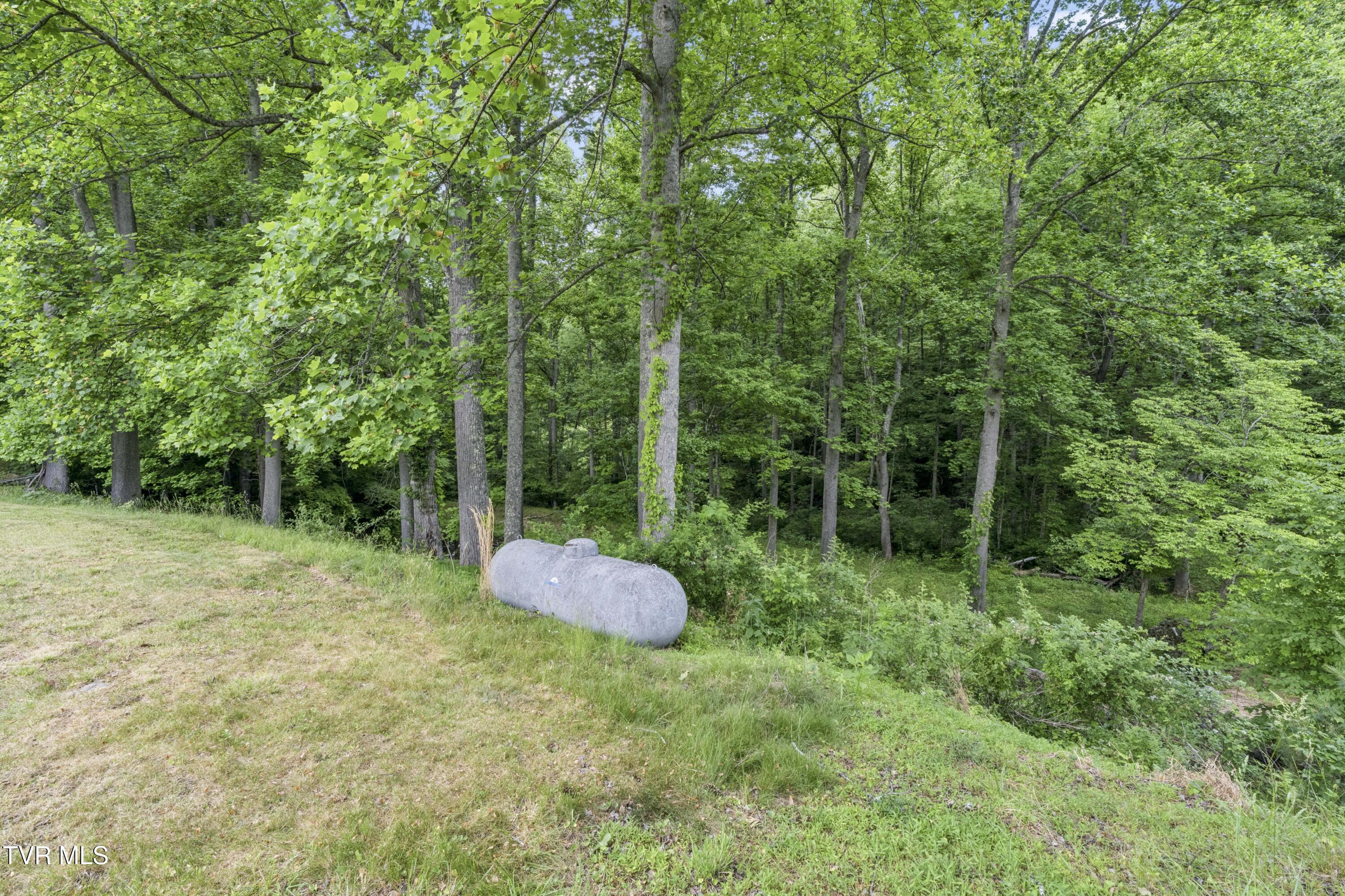 128 Lum McIntosh Road Erwin, TN 37650 - Photo 62 of 106 LumMc--43